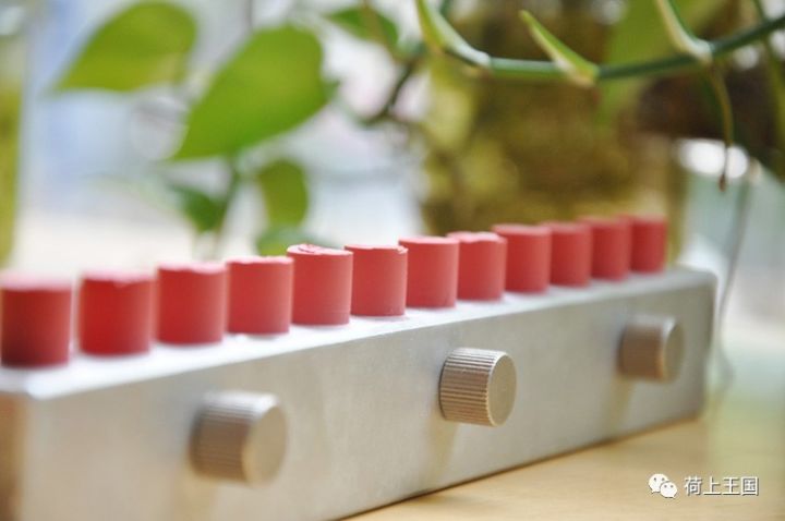 润唇口红推荐进口植物油,山茶油植物口红