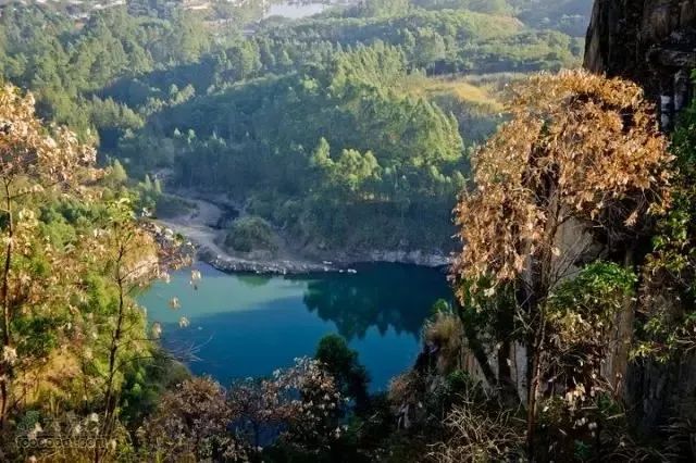 美得不像样子!广州秋季“花潮”来袭,你最想和谁一起看