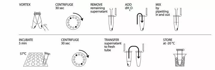 蓝鳍金枪鱼品质鉴别,真假蓝鳍金枪鱼