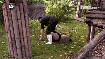 据说只要看到这双“雪地靴”，姑娘们都会挪不动脚！