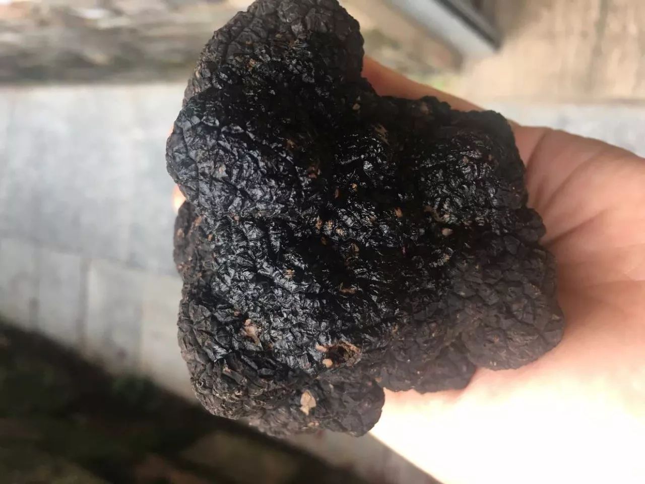 小伙伴们准备好了吗配音,小伙伴们准备好了吗语音