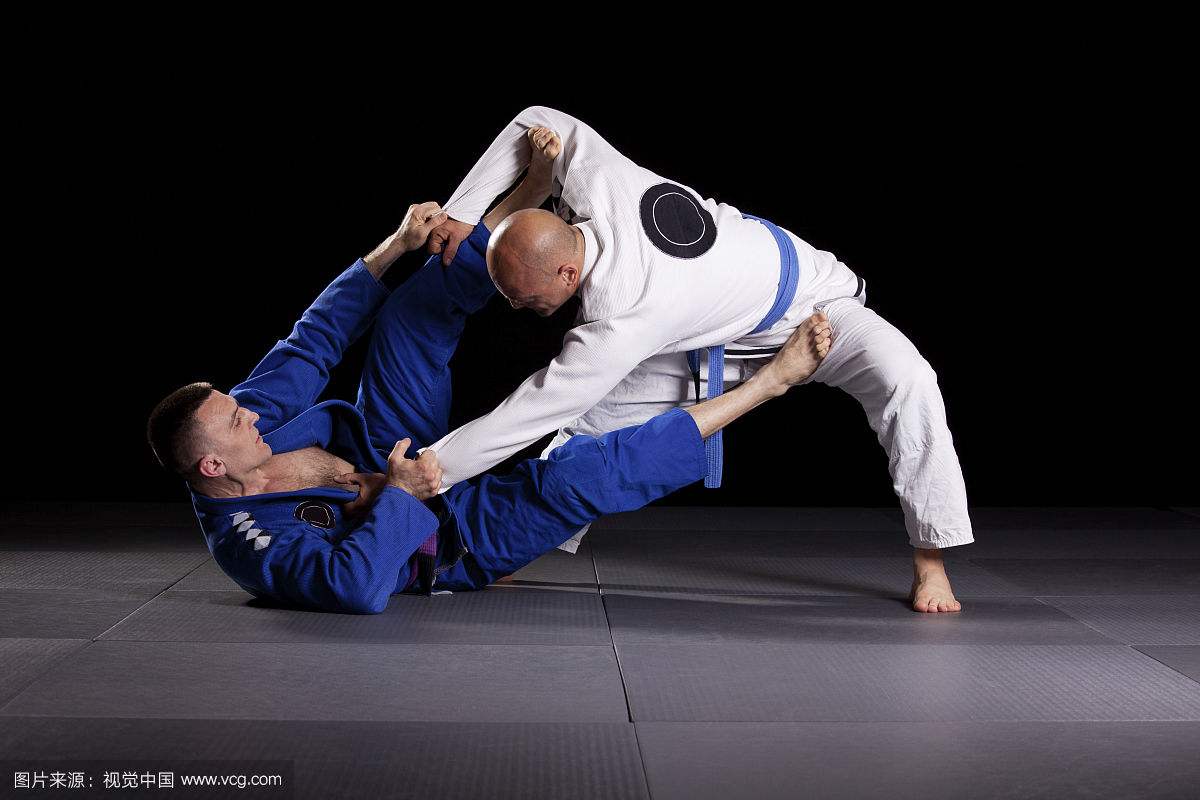 格斗百科VOL.005丨你真的知道什么是巴西柔术吗？