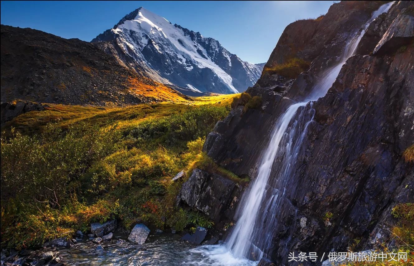 坑人的坑,坑人的坑在哪里