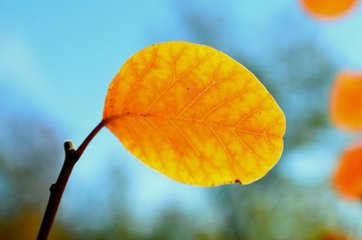 客户砍价技巧,客户一直压价该如何回复