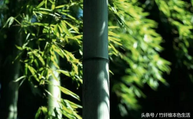 用纸，我们有什么理由改变你的习惯？