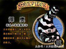 海贼王里一共出现过多少人物(四)(超新星等)