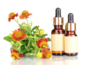 教你认识精油的美妙——乳香精油