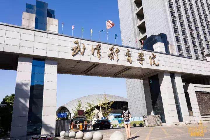 全武汉荷尔蒙最旺盛的高校，打架有专业套路，小偷来了别想走！