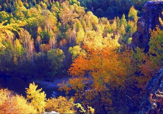 对不起我要去学校了模板,对不起我要去天津了