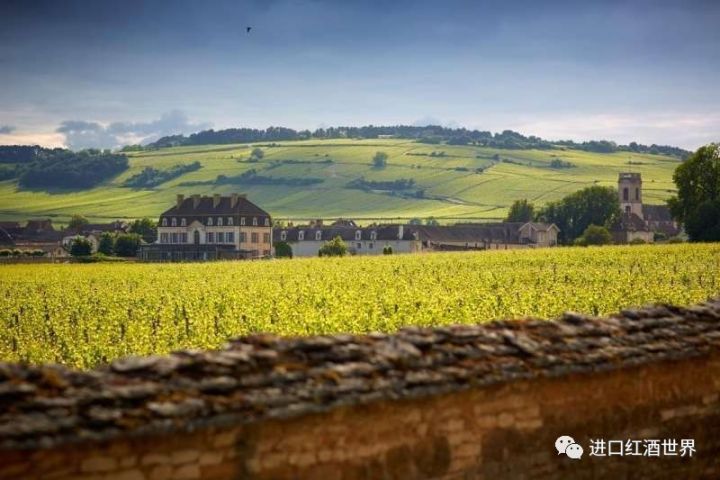 1855列级酒庄左岸右岸,1855列级酒庄葡萄酒价格