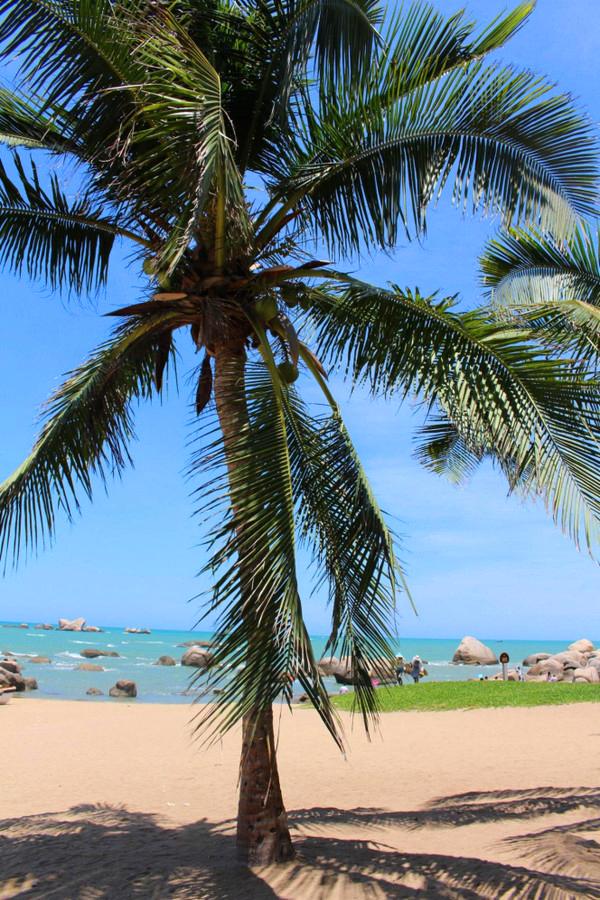 我到过许多地方是指哪里,我去过的地方皆是你看过的风景