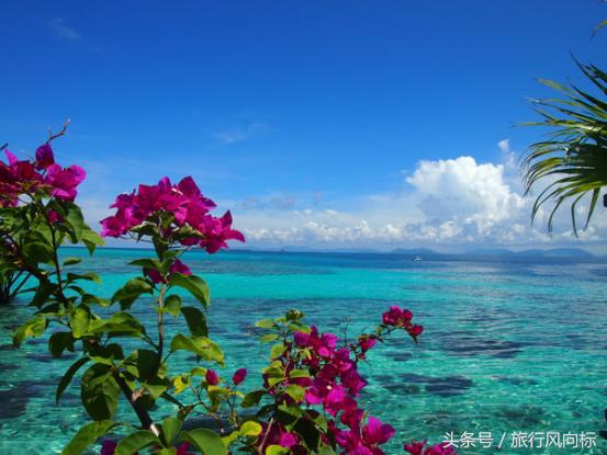 马来西亚沙巴自由行攻略 (马来西亚旅行攻略日记)