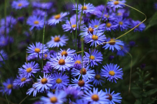 我越来越爱你每个眼神触动我的心,我越来越爱你