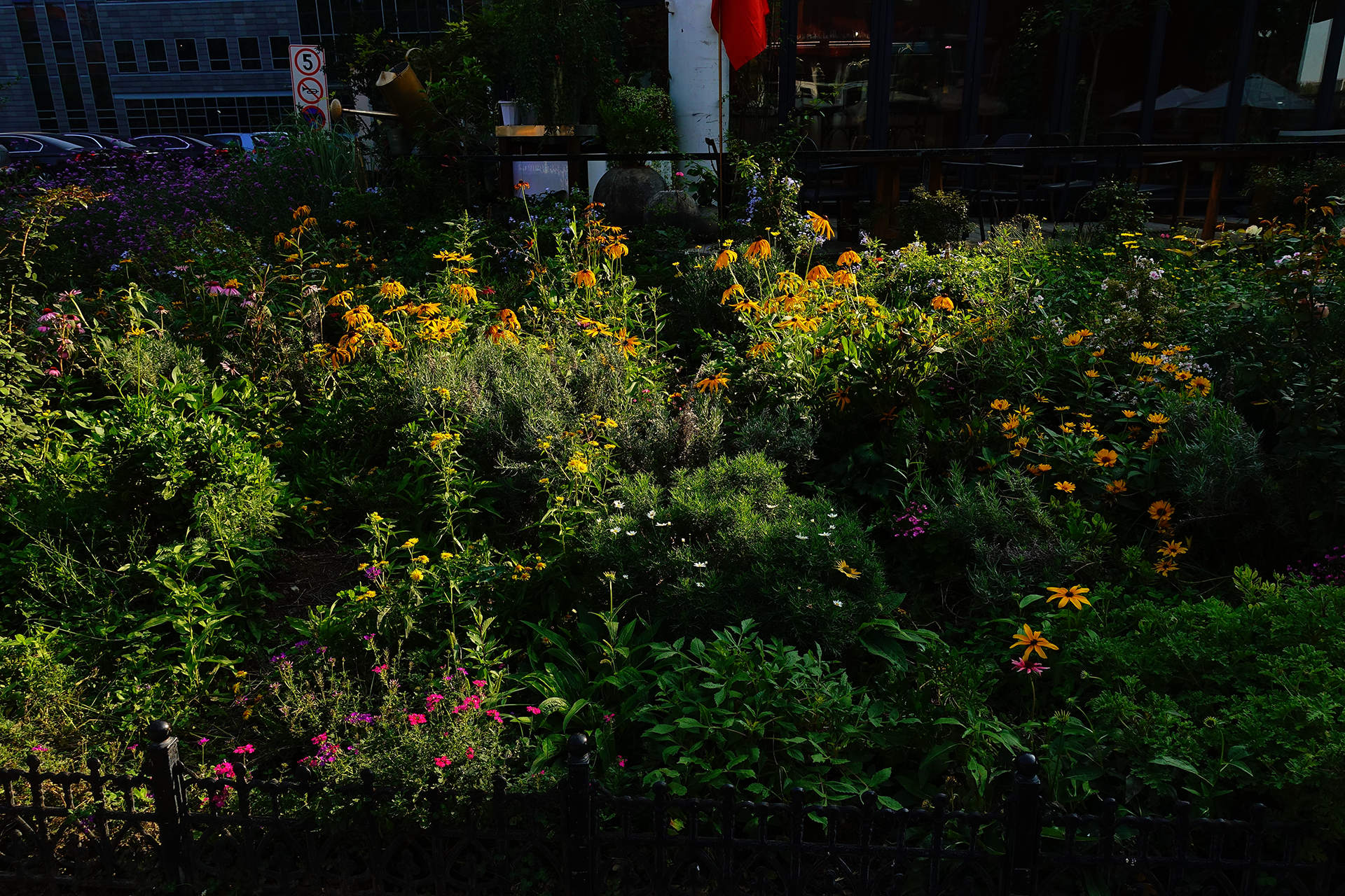 索尼黑卡rx100m4代与微单m6,索尼黑卡rx100和rx100m5