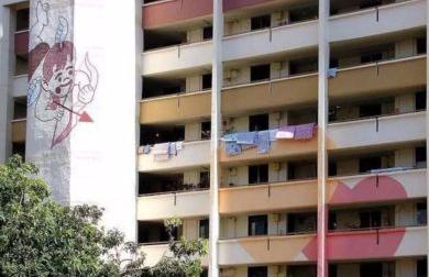 新加坡组屋装修攻略,新式组屋设计图