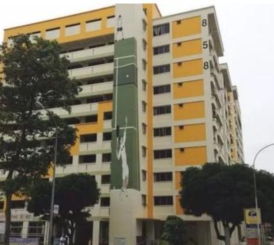 新加坡组屋装修攻略,新式组屋设计图