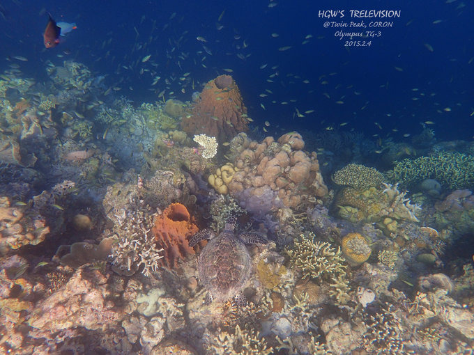 阳光，假日，海滩，带你深度游巴拉望上