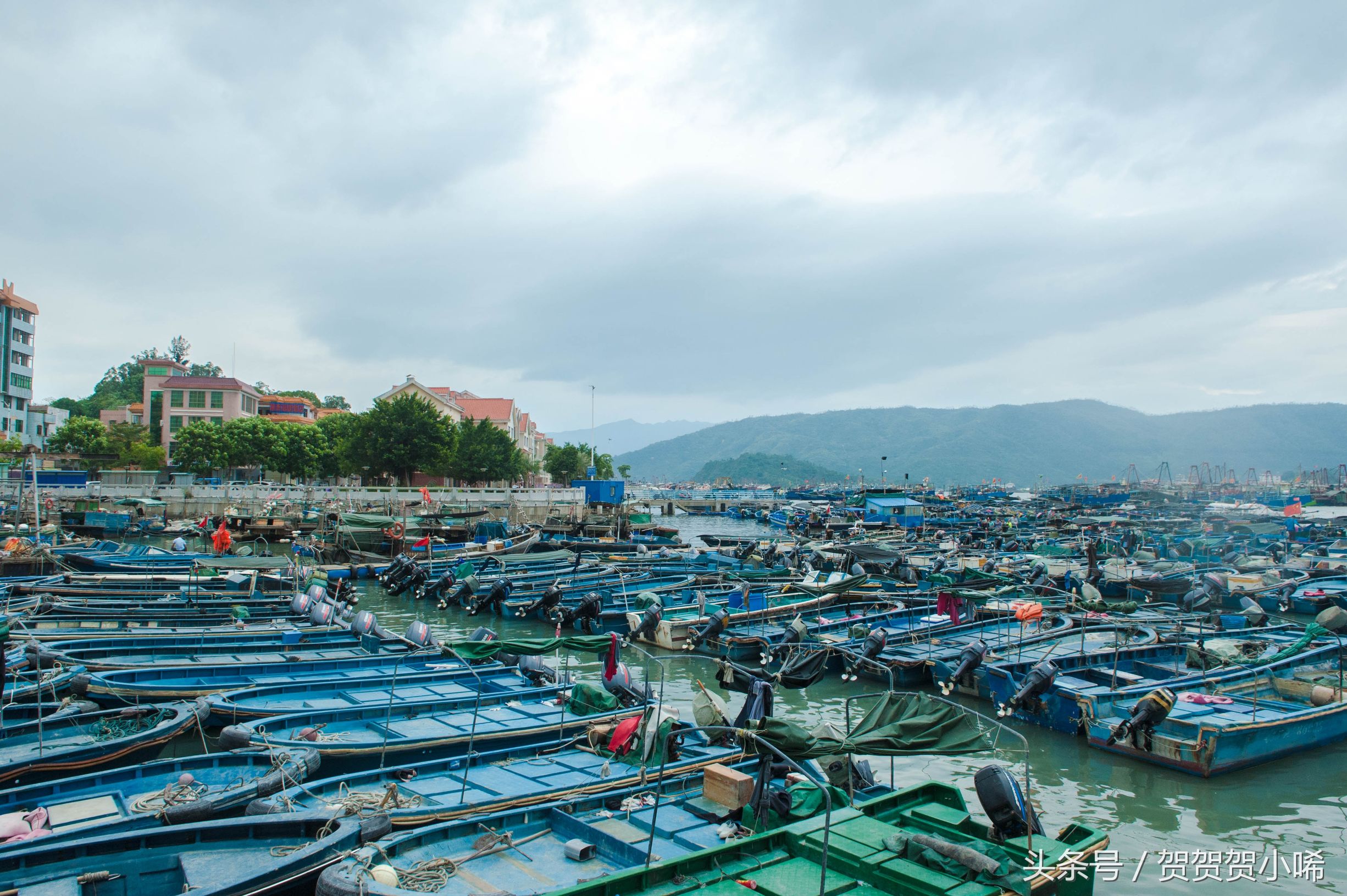 广州十大冷门自驾,广州自驾游最佳线路图最新