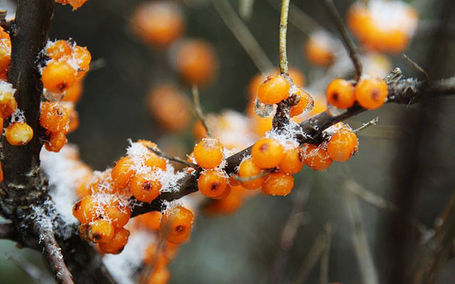 庄子人事篇,庄子人生的根本是如何与自己相处
