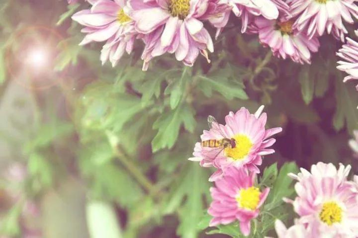 小说深水鱼雷,深水炸弹小说完结