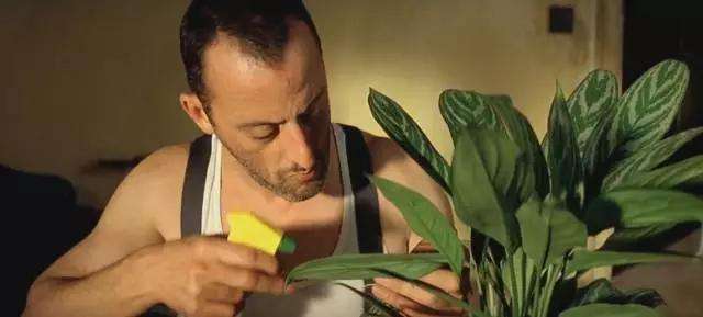 最深沉的爱是在你离开以后,这世上最纯真的爱