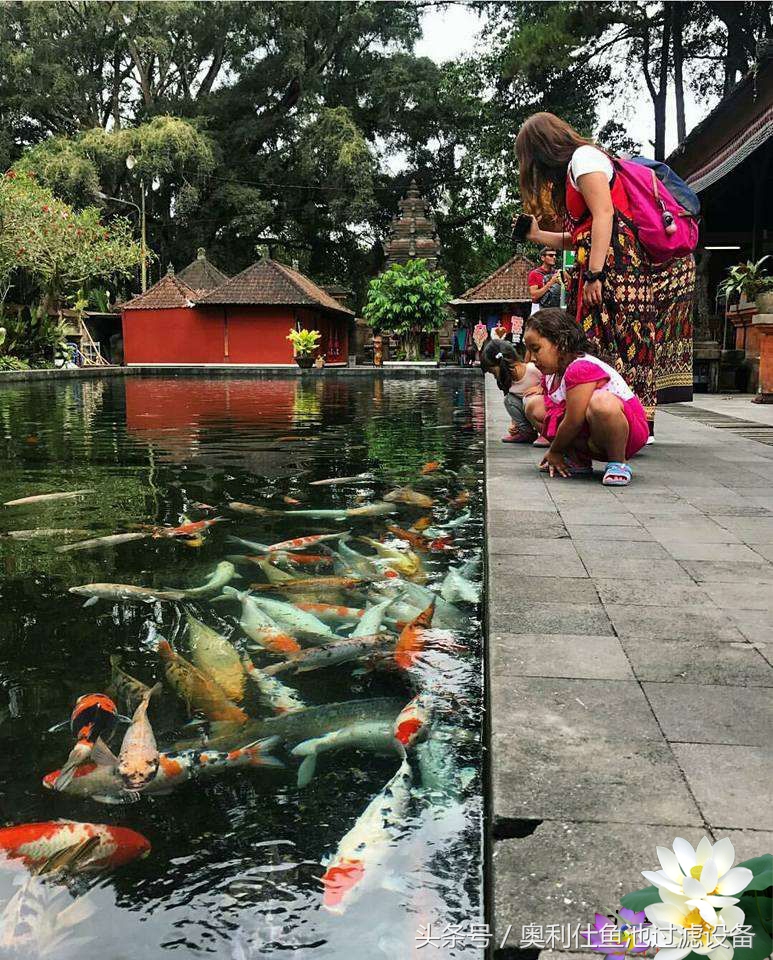 渔夫与美人鱼的故事,美人鱼和小鱼的故事文字