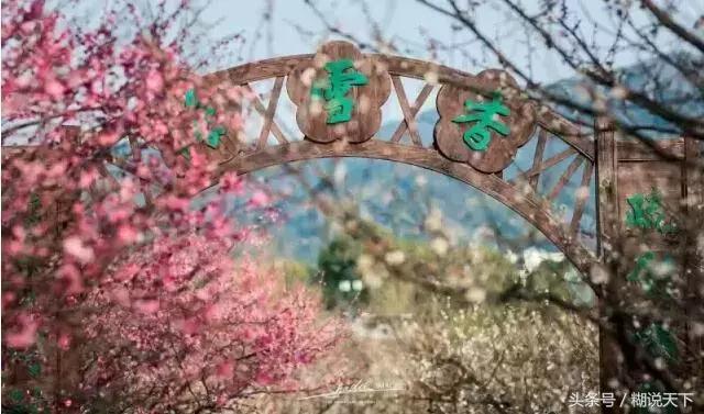 苏州吴中哪个区比较好,苏州吴中附近有哪些区