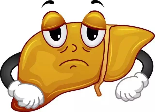 跑步可以消除脂肪肝吗,跑步和跳绳哪个消除脂肪肝最好