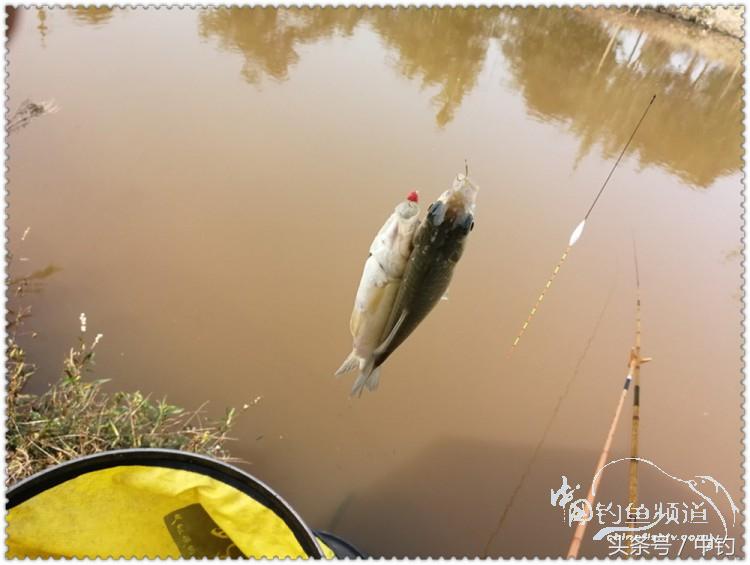 国庆节的来历,国庆头像