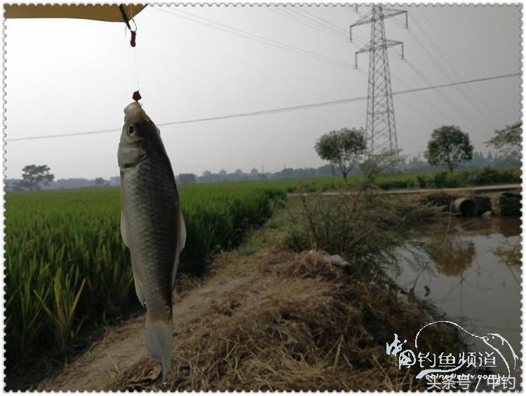 国庆节的来历,国庆头像