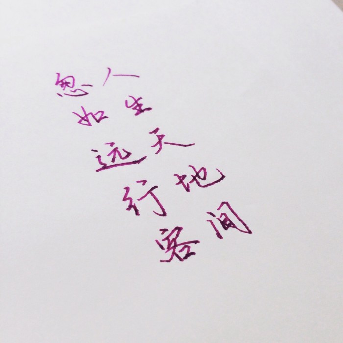 苏东坡人生最难的一句话,苏东坡人生难得几时闲