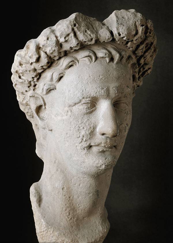 每日花语红山茶,每日花语桔梗花