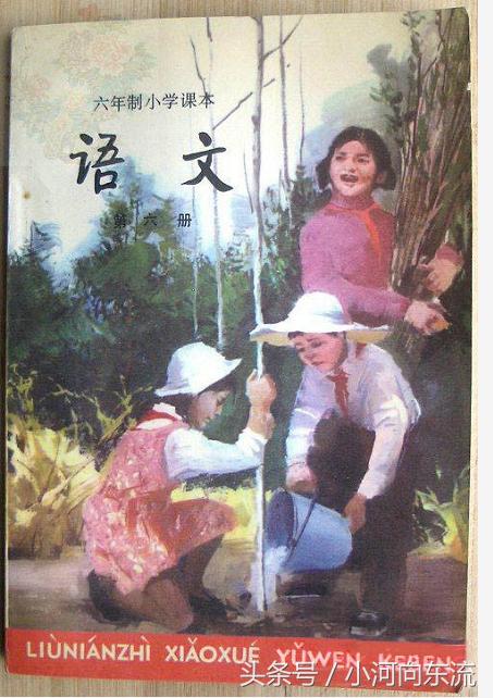 20年前的课本满满的回忆,20年前的语文课本有哪些课文