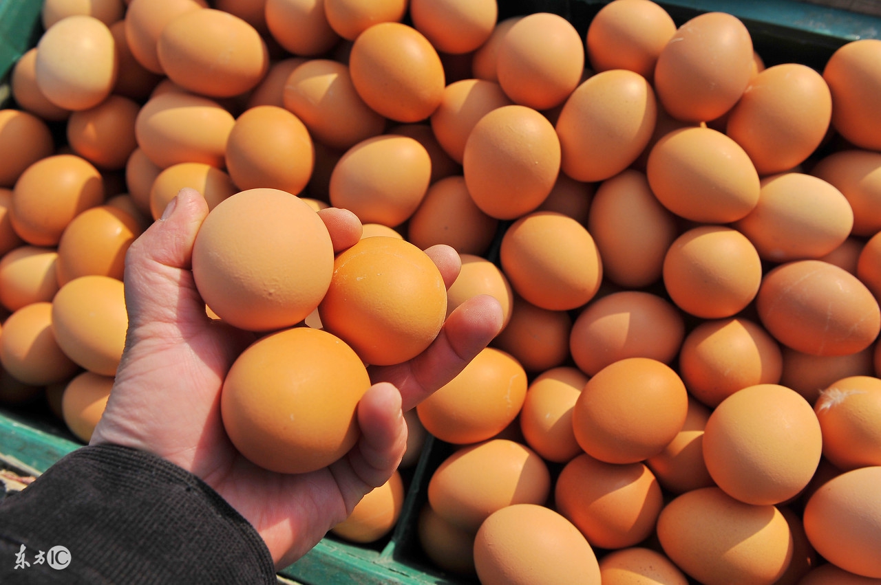 科技还能创造什么奇迹,鸡蛋那么大癌症能治好吗