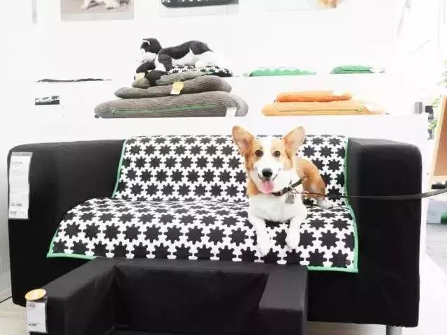 日本宜家代购,日本代购的家具品牌