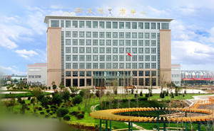 假发十大排行榜价格,新手戴假发推荐假发帽还是假发套