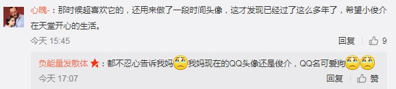 日本网红俊介犬,日本网红柴犬俊介