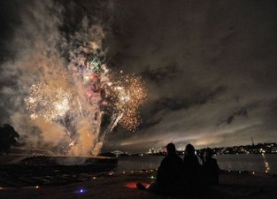 高级又豪华却便宜的宠物,精致生活的宠物