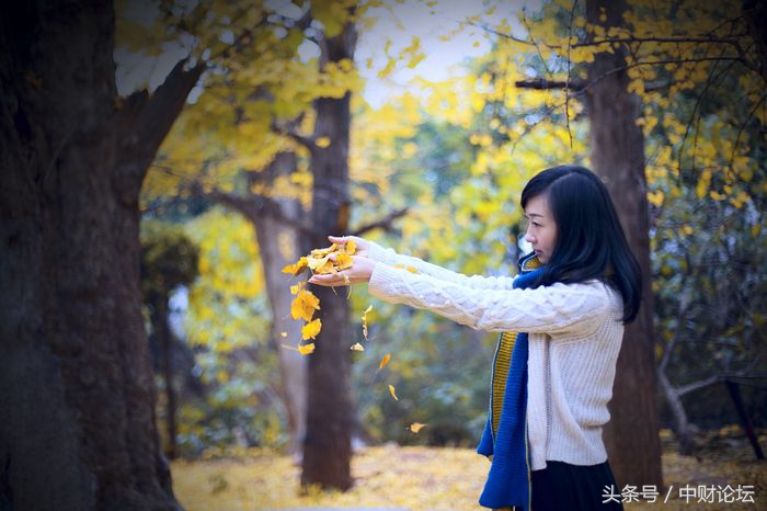 秋天的思念琪琪格,秋天的思念