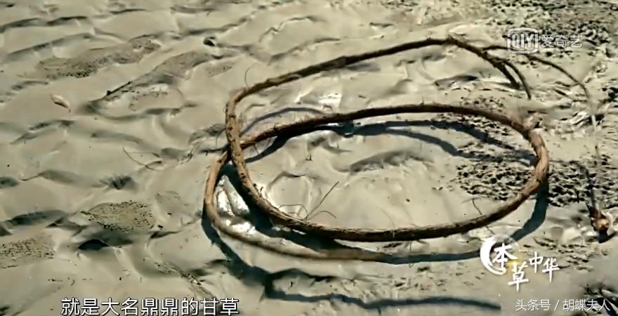 像玫瑰一样的生活？《本草中华.容颜》为你精心打造几款美肤胜品