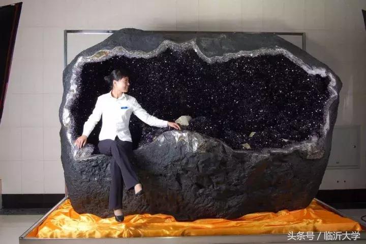 恐龙来了！上万元门票同时砸中幸运的你！