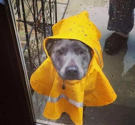 外国人如何过万圣节，小侃带你去转转