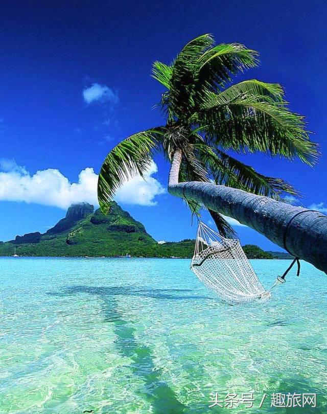 高更最后的大溪地,高更经历