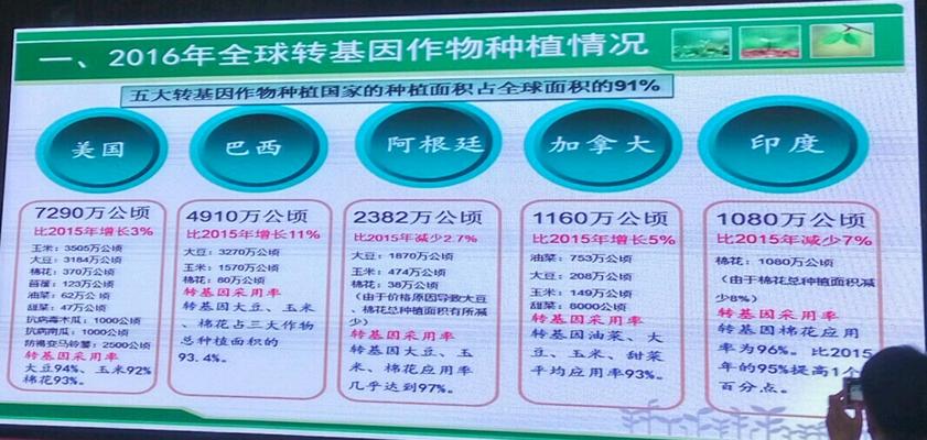 全球最新转基因农作物,全球四大转基因作物包括
