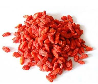 陈皮枸杞子泡水喝功效禁忌,枸杞子菊花泡水喝的功效与禁忌