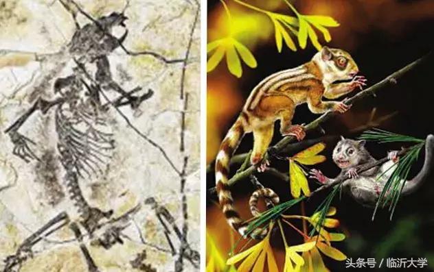 恐龙来了！上万元门票同时砸中幸运的你！