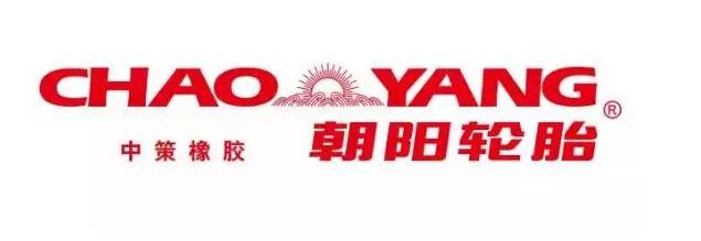 东盟商家“一带一路”加快后市场合作；宝马或将面临80亿欧元罚款