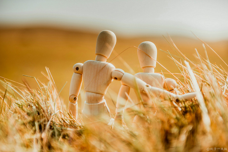 草原金秋美景图片,蓝天白云大草原的美图