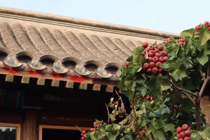 佳能高颜值轻巧相机便宜,入门便携相机佳能m200