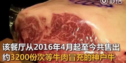 日产道歉,日产造假风波